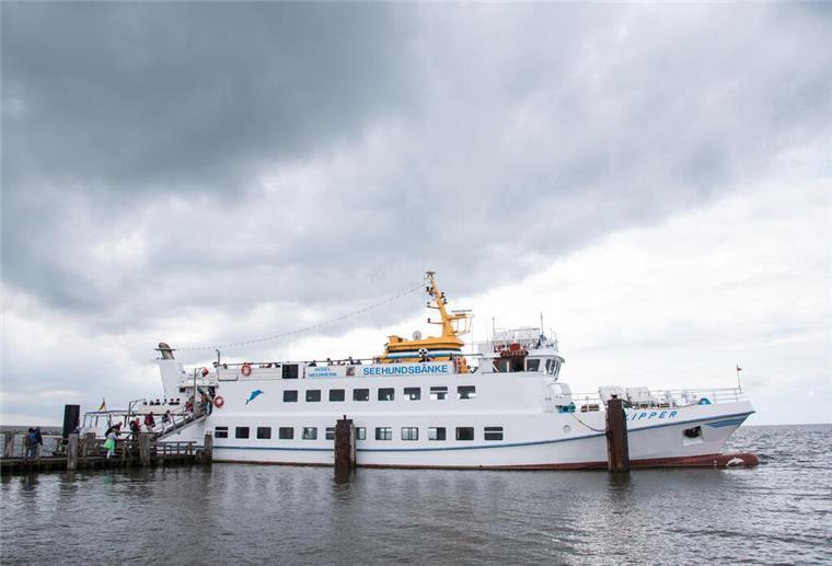 Die Flipper ist im Hafen von Neuwerk auf eine Sandbank gelaufen.
