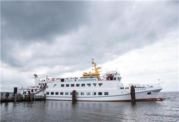 Die Flipper ist im Hafen von Neuwerk auf eine Sandbank gelaufen.