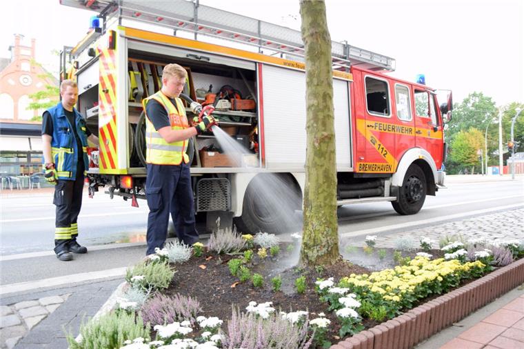 Bremerhaven: So oft waren die Freiwilligen Feuerwehren 2018 im Einsatz Die Freiwillige Feuerwehr Lehe hat sich im trockenen Sommer an dem "Rettungseinsatz" für die Bäume beteiligt.