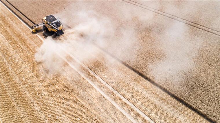 Die Gemeinsame Agrarpolitik (GAP) soll die Landwirtschaft in Europa ökologischer und nachhaltiger machen –  auch in Niedersachsen. (Archivbild)