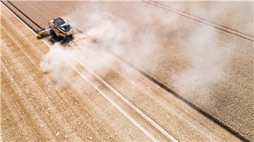 Die Gemeinsame Agrarpolitik (GAP) soll die Landwirtschaft in Europa ökologischer und nachhaltiger machen –  auch in Niedersachsen. (Archivbild)