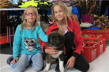 Die Geschwister Sophie (links, neun Jahre) und Laska (elf Jahre) besuchten mit ihrer Mutter Norma Duhm die Haustiermesse. Die Familie aus Eckwarden war auf der Suche nach einem Geschirr für ihren sieben Wochen alten Welpen.