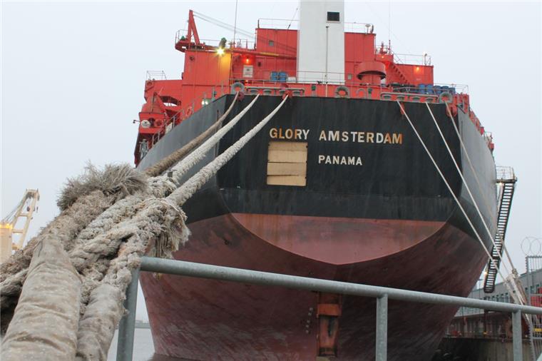 Die "Glory Amsterdam" liegt zurzeit im Kaiserhafen in Bremerhaven.