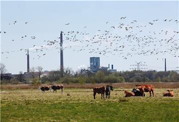 Die groß angelegte Umweltstudie zur Schwermetallbelastung im Stadtteil Friedrich-August-Hütte und darüber hinaus wird sich auch mit den Problemen der Landwirtschaft befassen.