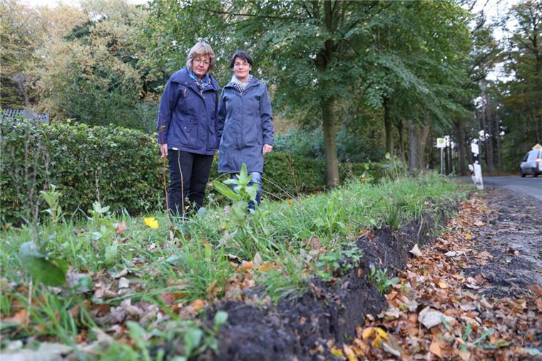 Zwischen Bokel und Bramstedt: Trecker fahren Blumen kaputt Die Grünen-Politikerinnen Marion Schmedes (links) und Elke Burkhardt sind schockiert darüber, dass der Blühstreifen von landwirtschaftlichen Maschinen einfach "plattgefahren" wurde. Die Erde wurde durch die Reifen zu einem kleinen Wall aufgeschoben.
