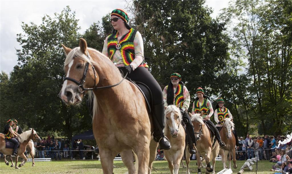 Die Haflingerfreunde aus Cuxhaven sorgten mit ihrem karibisch inspirierten Schau...