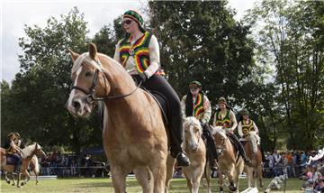 Die Haflingerfreunde aus Cuxhaven sorgten mit ihrem karibisch inspirierten Schau...