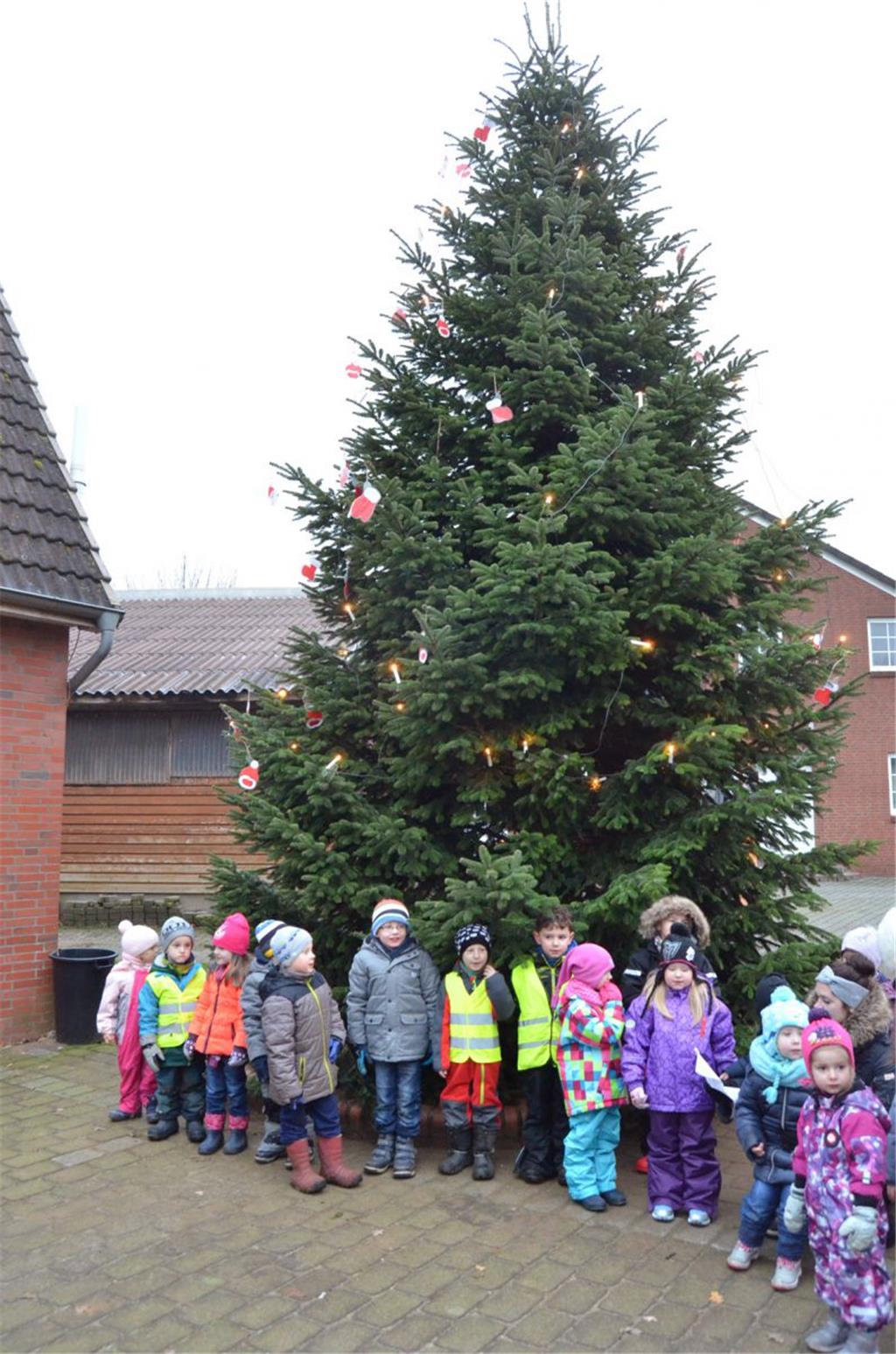 Die Hauptpersonen auf dem Weihnachtsmarkt in Donnern waren die Kindergartenkinde...