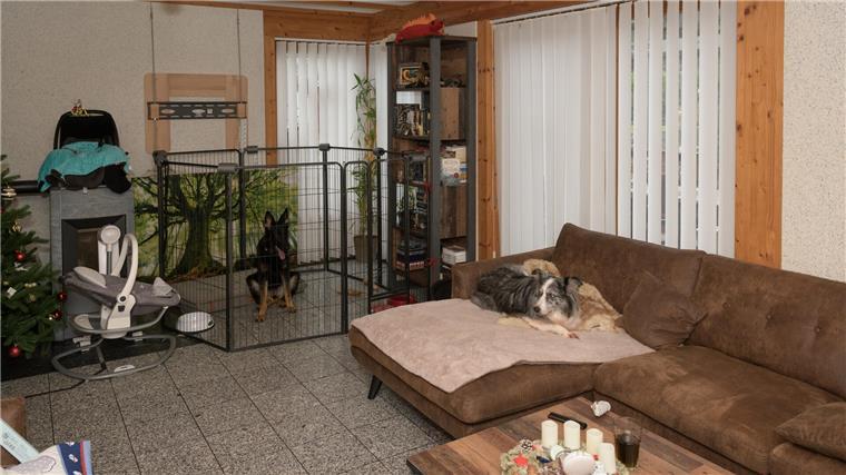 Hundepension