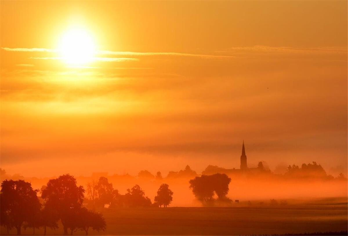 Hundstage haben begonnen - Doch wo bleibt die Hitze? Das steckt hinter der Bauernregel Hinter dem Dorf Dieterskirch in Oberschwaben geht am Morgen die Sonne im Nebel auf.