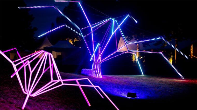 Park der Gärten lockt mit „Lichtzauber“ an Spätsommerabenden Die Illumination ist bis zum 10. September zu sehen, jeweils bis Mitternacht.