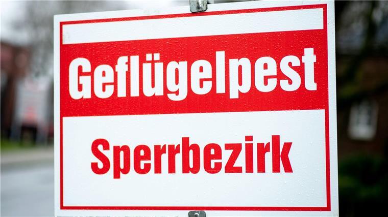 Die in Niedersachsen herrschende Geflügelpest stellt die Landwirte auf eine harte Probe, vor allem auch finanziell. (Archivfoto)