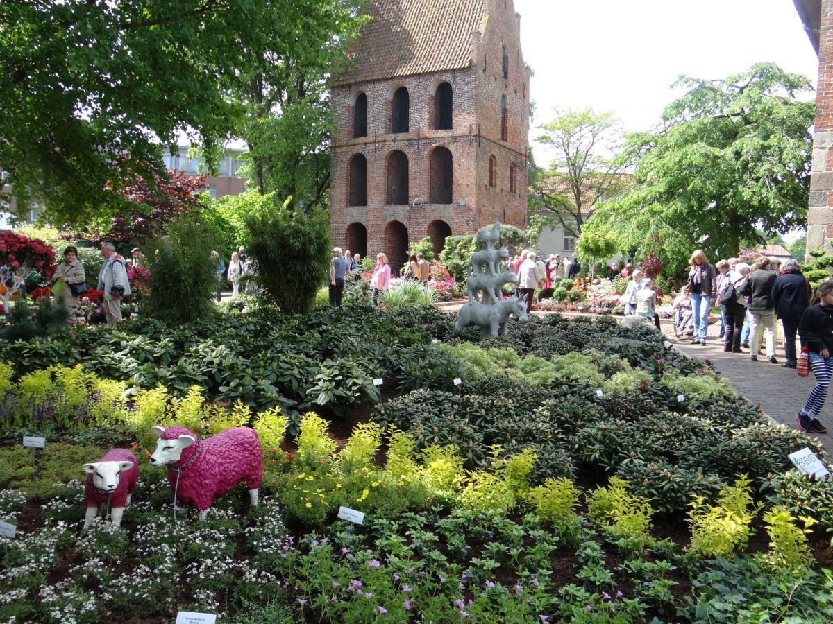 Rhodo: Westerstedes Innenstadt verwandelt sich in Parklandschaft Die Innenstadt Westerstedes – hier der Kirchhof der St.-Petri-Kirche – mutiert bei der Rhododendronausstellung Rhodo wieder zu einem Pflanzenmeer.