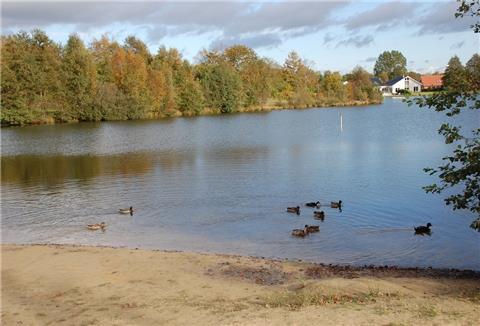 Enten schwimmen auf dem Sieverner See.