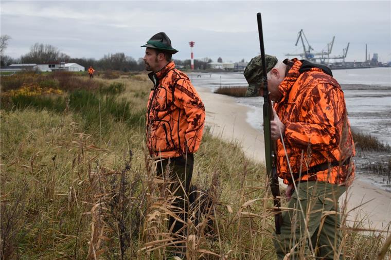 Die Jagd auf Kaninchen am Nordenhamer Strand wird fortgeführt Die Kaninchenjagd am Nordenhamer Strand soll in diesem Jahr und darüber hinaus fortgeführt werden.