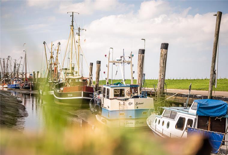 Kutter im Hafen von Spieka-Neufeld.