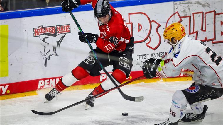 Playoff-Aus für Bremerhaven nach Niederlage in Köln Die Kölner Haie und die Fischtown Pinguins lieferten sich einen harten Kampf.