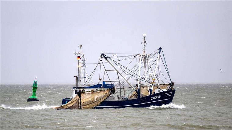 Die Krabbenfischer an der deutschen Nordsee blicken erneut auf ein sehr schlechtes Jahr zurück (Archivbild). 