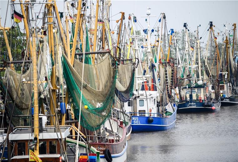Niedersachsen, Greetsiel: Ein Blick auf den Kutterhafen. 