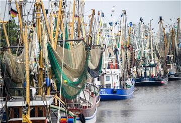 Niedersachsen, Greetsiel: Ein Blick auf den Kutterhafen. 