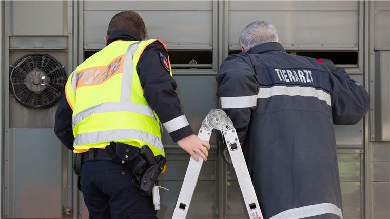Veterinärämter boykottieren Gremien aus Protest gegen Land Die Landkreise verlangen mehr Geld für die Amtstierärzte vom Land Niedersachsen. (Archivbild)