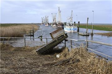 Die letzten Sturmfluten haben an der Wurster Küste – hier der Hafen in Spieka-Neufeld – eine Menge Treibsel angespült.