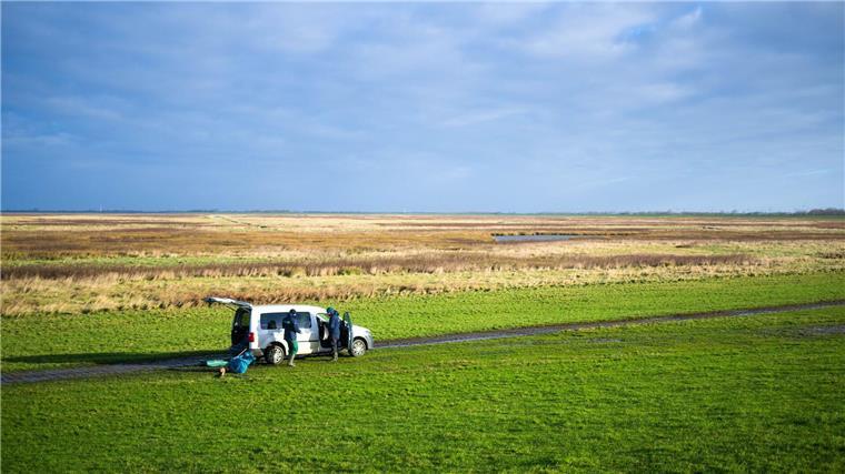 Die Leybucht ist nach dem Dollart die zweitgrößte Meeresbucht in Ostfriesland. 