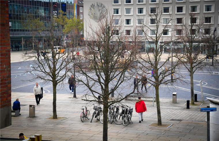 Die Linden auf dem Theodor-Heuss-Platz in Bremerhaven, die sich nicht richtig entwickelt haben und deutlich zu klein sind, werden ab Januar ersetzt.