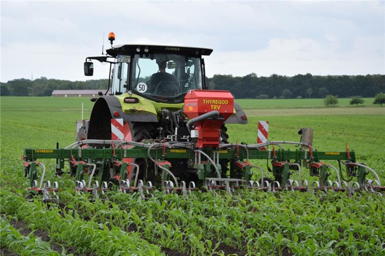 Dieses High-Tech-Gerät soll das Grundwasser in der Region schützen Die Maishacke im Einsatz. Sie ist kamerageführt, dadurch sind die Schare flexibel und richten sich auf die Reihen ein, sodass kein Schaden an den Pflanzen entsteht.