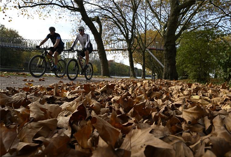 Radfahrer nutzen das schöne, warme Wetter für eine Fahrt im Kaisergarten.