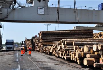 Die Midgard in Nordenham verschifft Holz aus deutschen Wäldern nach China.