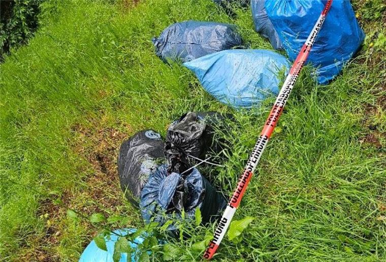 Wie dreist kann man sein?! Unbekannte entsorgen Müllsäcke illegal am Waldweg Illegal entsorgte Müllsäcke