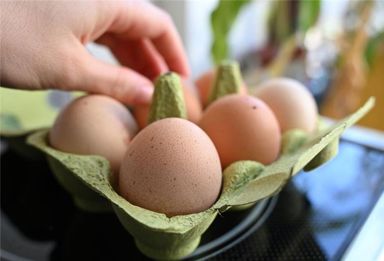 Eine Hand greift in einer Wohnungsküche nach einem Ei in einem Eierkarton. Eier gehören zu den Grundnahrungsmitteln und unterliegen Preisschwankungen, die von Produktionskosten und Marktentwicklungen beeinflusst werden.