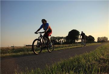 Fahrradfahrer im Grünen
