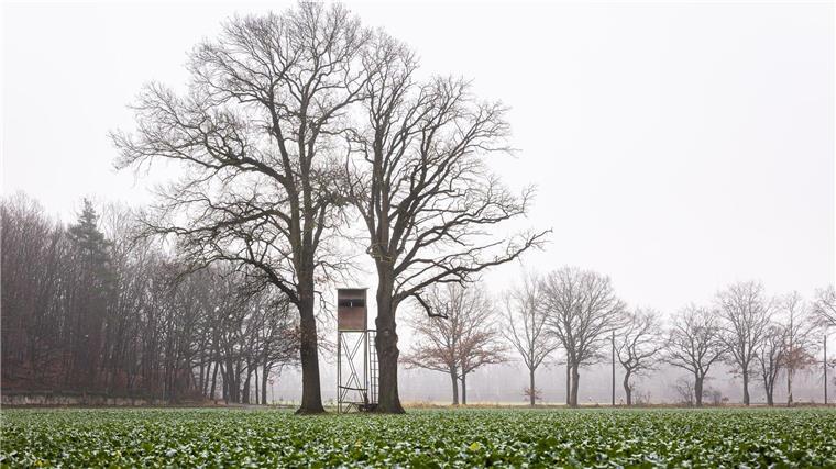 Die niedersächsische Jägerschaft will das bestehende Jagdrecht beibehalten. (Symbolbild)
