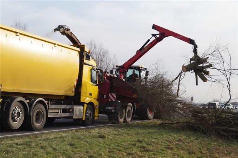 Die Niedersächsische Landesbehörde für Straßenbau und Verkehr führt Gehölzpflegearbeiten durch, um die Straßen zu sichern. Das Bild zeigt einen Großhäcksler, der Äste und Baumstämme schreddert. 
