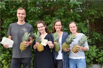 Die Nordenhamerin Laurien Czichon (Zweite von rechts) und ihre Studienkollegen Niklas Tegtmeier (von links), Merit Ulmer und Ann-Cathrin Burk haben eine Möglichkeit entwickelt, aus Ananaskronen diverse Papierprodukte herzustellen.  