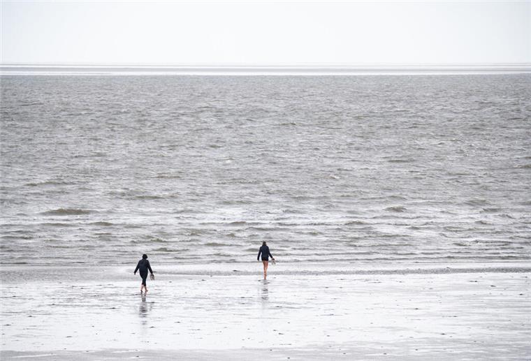 ARCHIV - 30.07.2023, Schleswig-Holstein, Büsum: Spaziergänger sind im Watt vor Büsum unterwegs. (zu dpa: «Bundesamt: Nord- und Ostsee 2024 überdurchschnittlich warm») Foto: Jonas Walzberg/dpa +++ dpa-Bildfunk +++