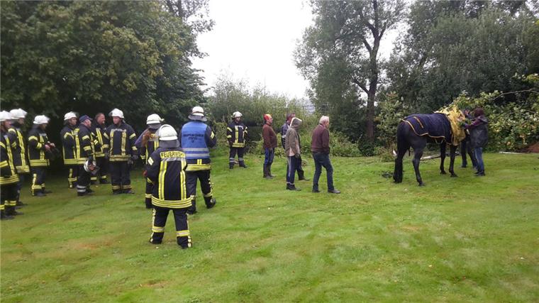Die Ortsfeuerwehr Stotel musste am Donnerstagnachmittag ein in der Lune feststeckendes Pferd aus seiner misslichen Lage befreien