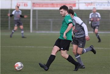 Die Phiesewarder (Spieler im grünen Trikot) hätten am Sonntag um den Halbfinaleinzug gekämpft.