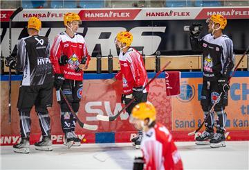 Die Pinguins-Fans können am Freitag das Spiel der Mannschaft gegen Fribourg-Gottéron sehen.