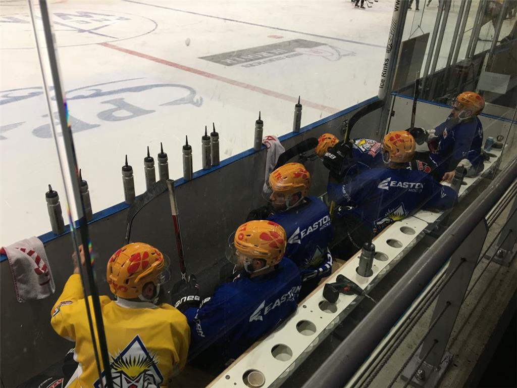 Die Pinguins haben anständig und gut trainiert.