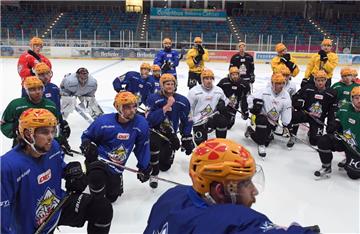 Die Pinguins sind zurück auf dem Eis: Am Dienstag war Trainingsauftakt bei den Bremerhavener Eishockeyprofis.