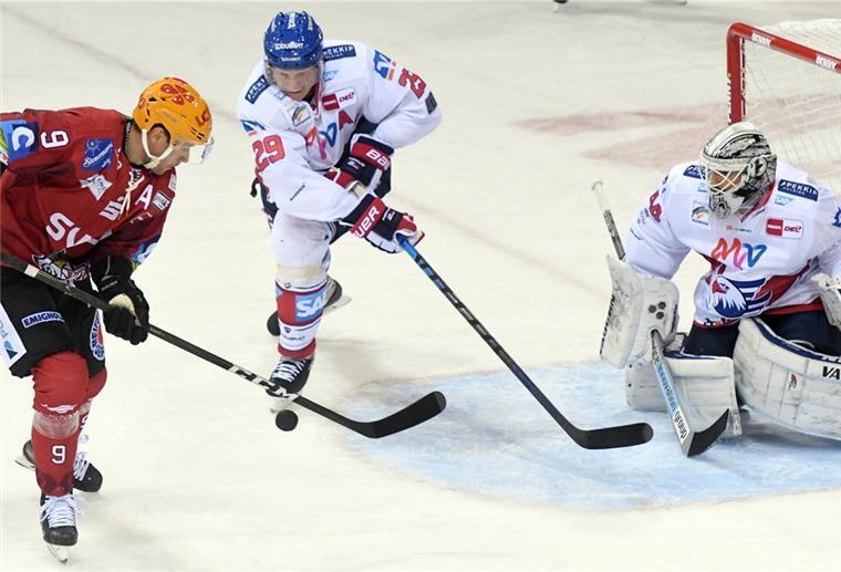 Pinguins empfangen gerupfte Adler Die Pinguins um Topspieler Jan Urbas (li.) wollen am Freitagabend gegen den dezimierten Kader der Adler Mannheim den nächsten Sieg einspielen.