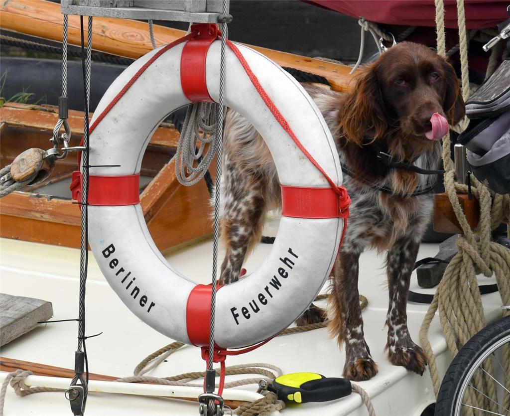 Die Plattbodenschiffe kommen nach Bremerhaven. Foto: Scheschonka