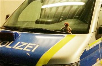 Die Polizei hat im Kreis Verden einen Sechsjährigen und seinen Teddy vereint.