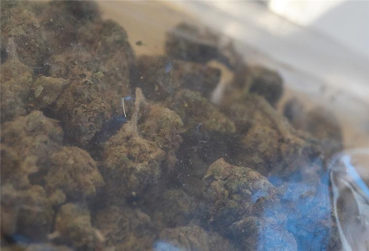 Drogenspürhund erschnüffelt Marihuana im Wert von 120.000 Euro Marihuana liegt in einer Hülle.