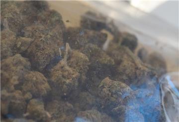 Marihuana liegt in einer Hülle.