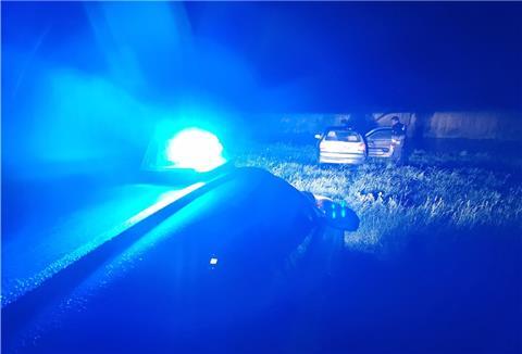 Die Polizei stellt den Flüchtigen auf einer Wiese.