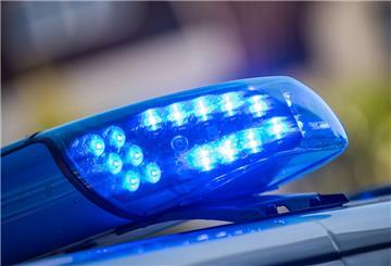 Hirschkuh landet nach Unfall tot auf dem Beifahrersitz